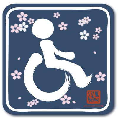 Accesorii de exterior – Autocolante pentru auto