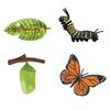 Kids  Childrens Christmas Board Games for Children Tasteless Life Cycle Statues Growth Cycle Stages PP Figures Learning Educational Stocking for