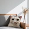 cushion Funny cover Square Sofa Cushion Meme Cover Casual Cat Skin-Friendly Comfortable Pillow Cover