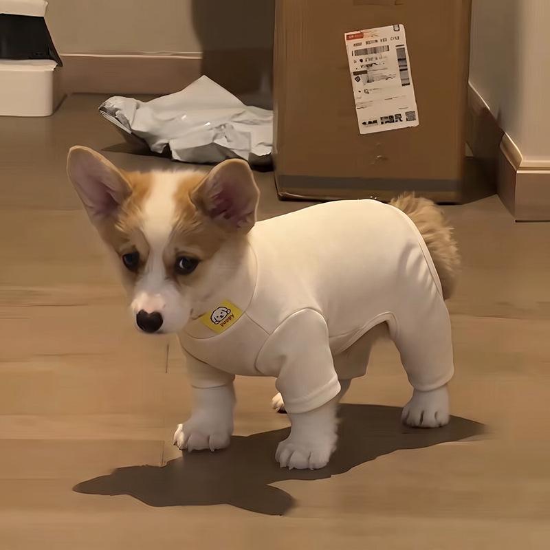 Dog German velvet warm four-legged clothes autumn and winter than bear teddy small dog cat pet bottoming shirt loungewear