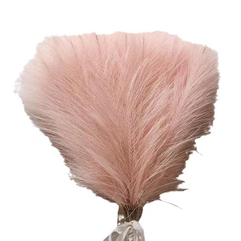 Six-Pronged Artificial Pampas Grass Flowers for Home Decoration and Wedding Props