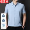 Hengyuanxiang Men's Ice Silk Non-Iron Short-Sleeve Business Shirt
