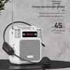 Mingran MS19 Little Bee Wireless Voice Amplifier