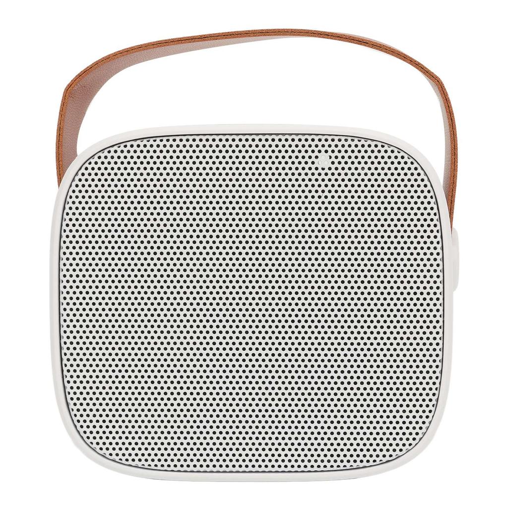 P2 Mini Karaoke Machine Portable Bluetooth Speaker with Wireless Microphone for Adults Kids White