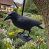 Decoration Simulation Plastic  Black Crow Raven Bird Repellent Pest Control Pigeon Repellent Garden Decoration Outdoor