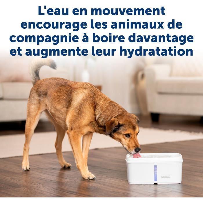 Fontaine à eau - PETSAFE - VIVA - 4,1 L - Blanc