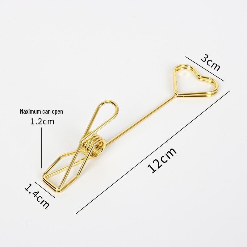 Support Clip Double Face en Acier Inoxydable pour Notes et Photos