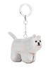 SOFTTHUMBNAIL Hodu, Pomeranian