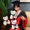 Doctor Hat Bear Doll Plush Toy Graduation Doctor Bear Bachelor Bear Doll Graduation Season Commemorative Gift