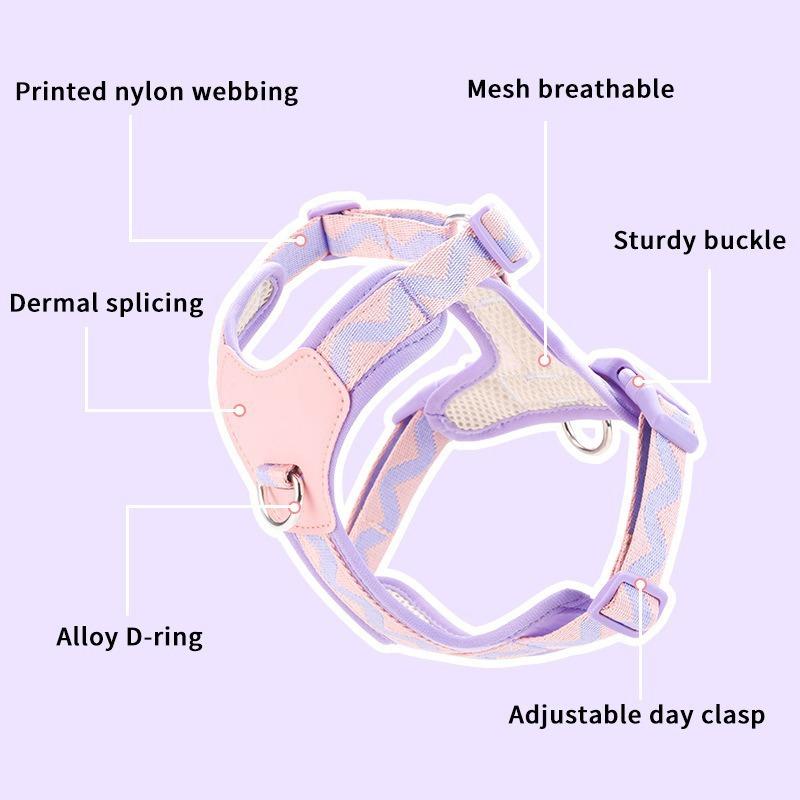 Dog Harness and Leash Set for Small Medium Dogs, Lightweight Breathable Mesh Puppy Harness, Adjustable Soft Pet Vest for Walking