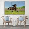 Three Piece Picture Canvas Print Horse Gallop Meadow