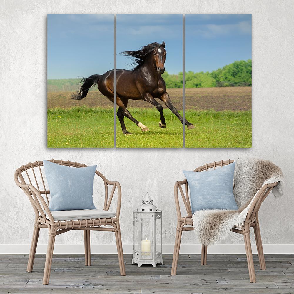 Three Piece Picture Canvas Print Horse Gallop Meadow