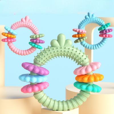 Giocattolo per animali domestici Giocattolo per cani TPR a forma di carota Succulenta Masticabile Anello da dentizione Set