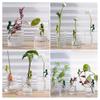 Plant Stand Hydroponic Plants Pothos Ivy Lucky Bamboo Succulents Cartoon Holder with Clamp Design Indoor Garden Decor