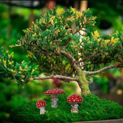 Outdoor Statues Mushroom Decorations Fungi Garden Indoor Decoration