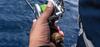 SHIMANO Jigging Rod Ocean Jigger Motive Compatible Reel Size (Infinity) B610-6 1500-3000