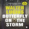 Butterfly On the Storm by Walter Lucius Paperback Book 9781405921343