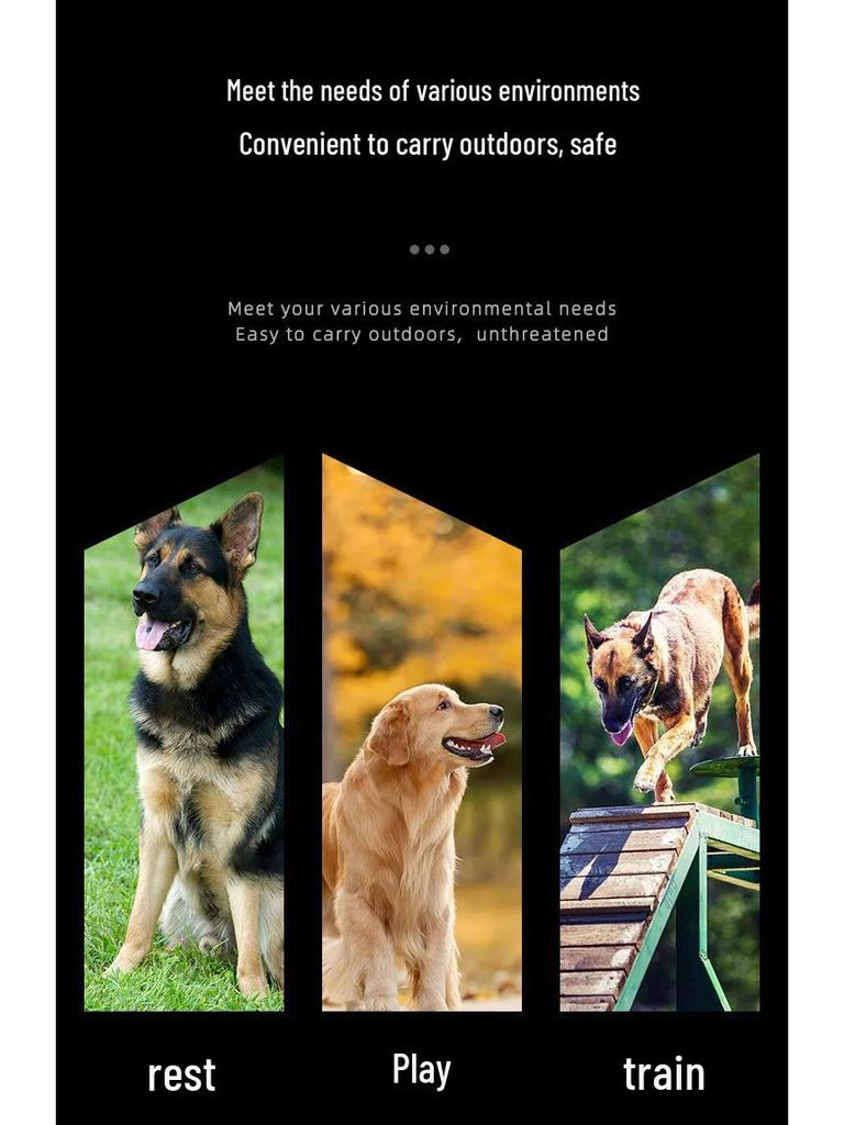 Adjustable Tactical Outdoor Dog Leash and Harness Set for Large Dogs