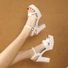 2025 New Luxury Exquisite Women's High Heel Sandals Summer Fashion Coarse Heel Pearl Comfortable Sandals Casual Modern Sandals