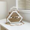 Niche Fashion Chain Straw Bag Portable Messenger Bag