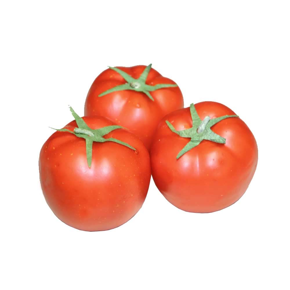 

GuCra Tomato Lifelike Model of Food Sample Fruit Model (Set 3) -