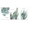 Watercolor Plants Nordic Modern Simple Hand-painted Cactus Restaurant Decorative Drawing Canvas Painting Wall Art Frameless