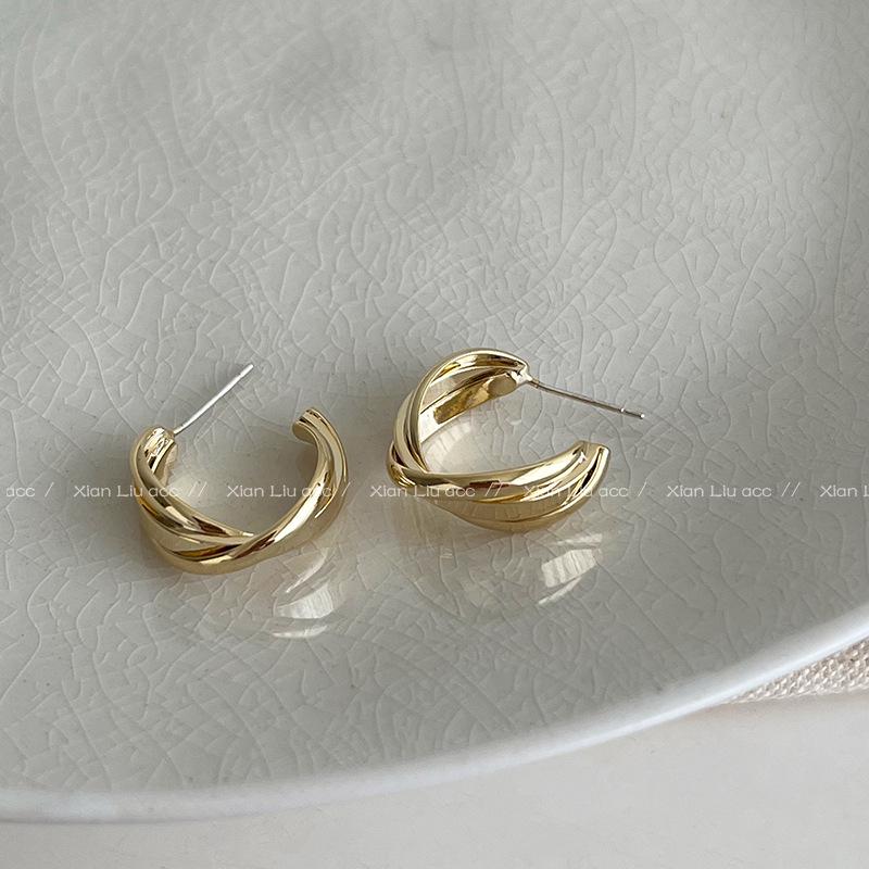 2025 High-End Light Luxury Metal Hoop Earrings - Unique Feminine Style