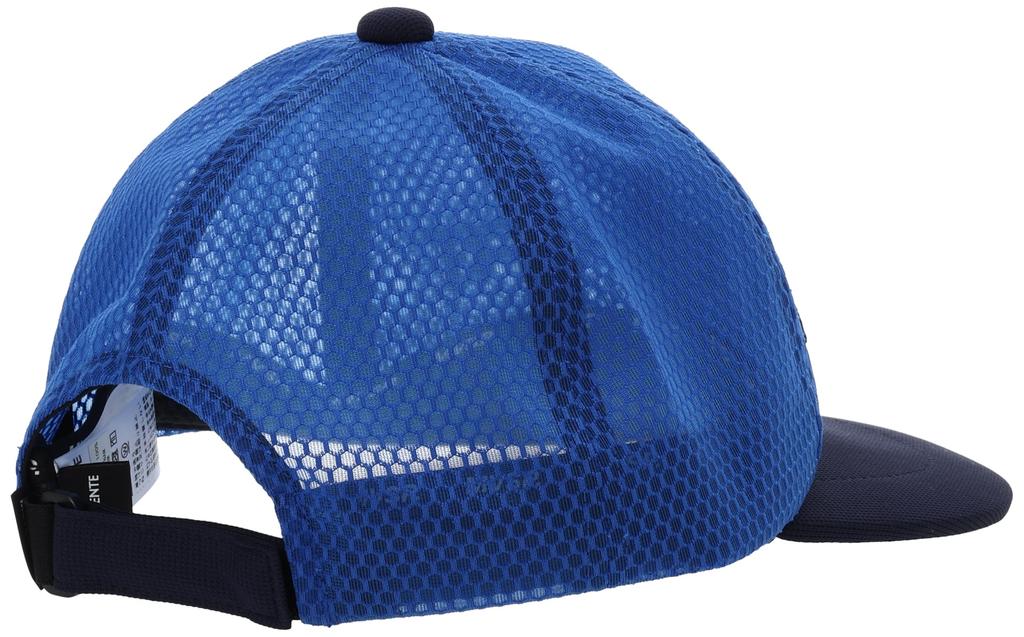 Cooling Function Extreme Heat Wet with Free Size [Move Sports] Cap, Descente, Hat, (Bell Oasis), Heat, Stroke, Leisure, Sports, Water, Cool, BL,