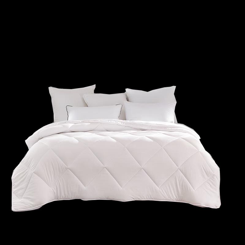 Mendale Soft & Fluffy Two-in-One Quilt