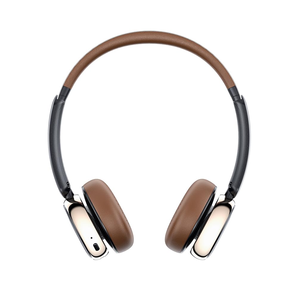 FIIO Snowsky ANYTIME from an Authorized Japanese FIIO ANC Wireless Headphones [Ships Retailer] Noise-Canceling (Black)