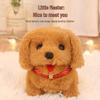 Electric Plush Pet: Jumping Sound Teddy Dog & Wagging Tail Husky