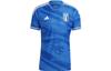 Soccer Jerseys Men's Blue Moderate HS9891