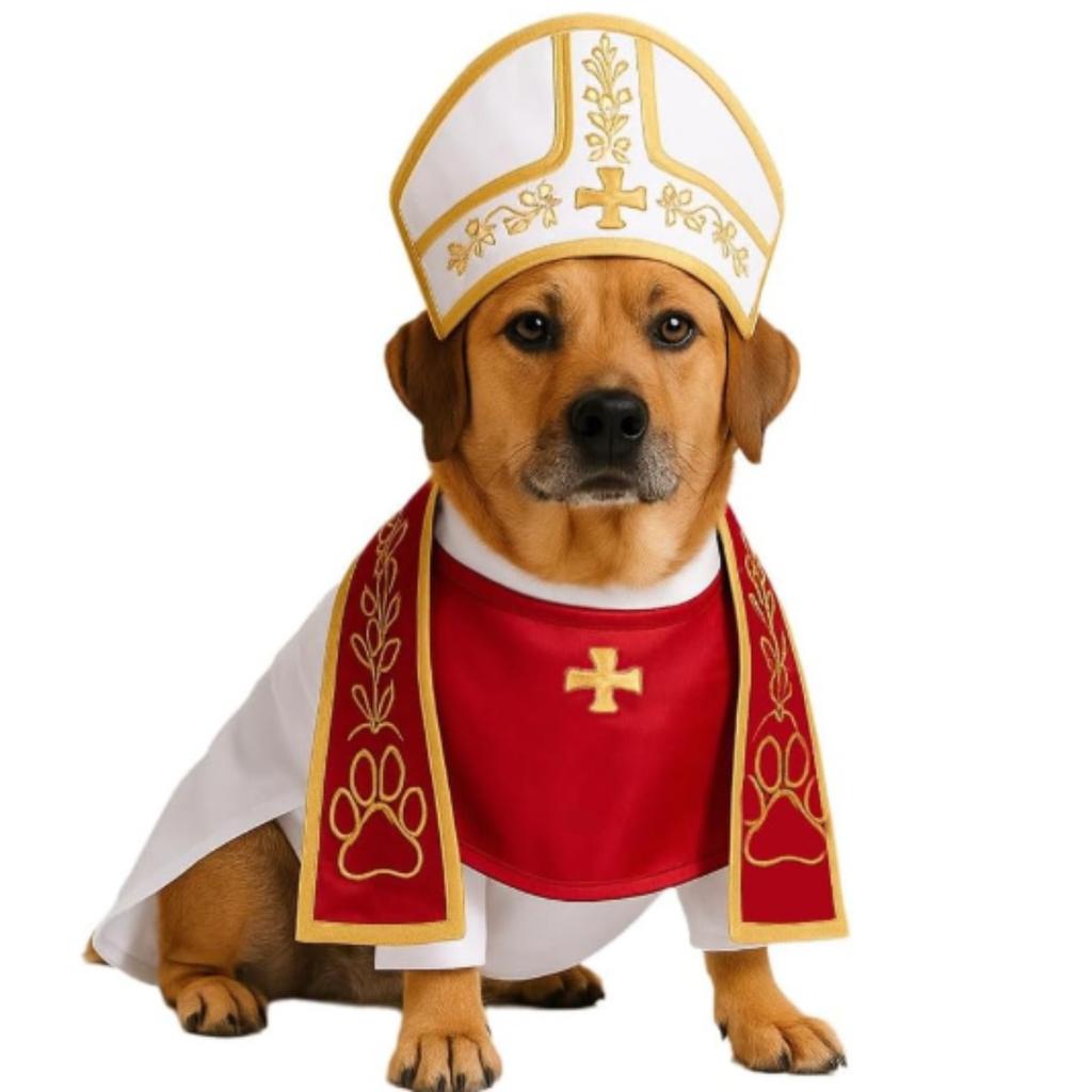 Pope Hat Costume for Cat/Dog Mini Craft Costume Good Feel and Elastic Comfortable and Durable Garments are Washable