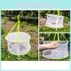 Lightweight Clothes Foldable Drying Mesh Basket With Large Diameter For Home Use