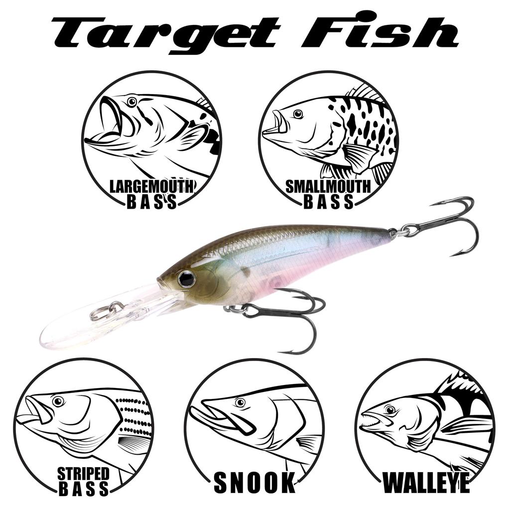 LUCKY CRAFT Slim Shad D-9 Freshwater Lake Bass Fishing Bait