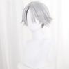 LAOBAO Cosplay Wig - Embalmer Aesop Carl Gut Silver Hair Ponytail Wig - Heat Resistant - Costume Accessory for Parties, Halloween, Festivals, Events,