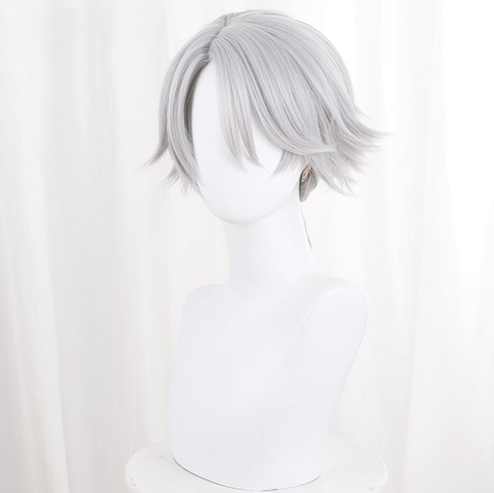LAOBAO Cosplay Wig - Embalmer Aesop Carl Gut Silver Hair Ponytail Wig - Heat Resistant - Costume Accessory for Parties, Halloween, Festivals, Events,