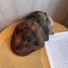 Tie Retro Fashion Dye Pattern Neutral Beret Suitable For Fall And Winter
