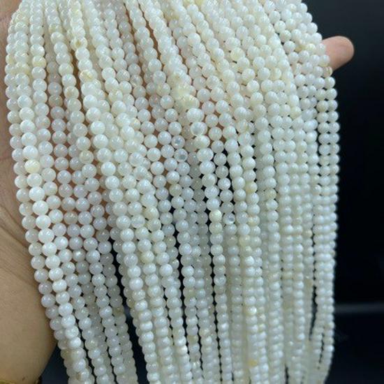 Handmade DIY Natural Freshwater Shell Round Loose Beads Rope Necklace
