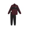 Casual Sports Polyester Colorblock Jersey Top and Bottom Set 2025 Ruby Shimmer Men's Suit, Tricot-Lined (687740), Fall/Winter Color (96)