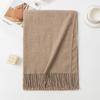 Solid Color Imitation Cashmere Scarf with Tassels - Unisex Winter Shawl