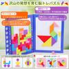 Ms.0 Tetris Tangram Puzzle, Montessori Educational Toy with Magnets, Brain Training, Tested To Meet Ministry of Health, Labor and Welfare Safety