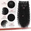 Wig for Women Long Hair Extensions Curly Pieces - Invisible Seamless Water Wave Hairpieces