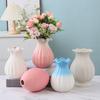 Desktop Decoration Vase Dopamine Color Decorative Flower Pot Elegant Decorative Vase  Living Room