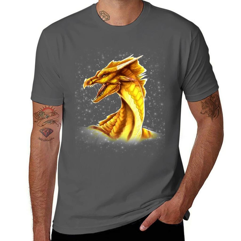 Wings Of Fire Sunny Tshirt Large Size Loose Casual Tee