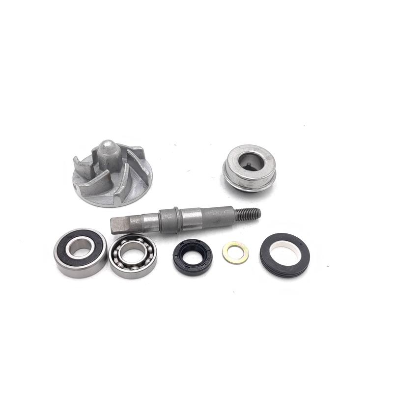 Bashan 200CC BS200 ATV Quad Water Pump Assy ATV Spare Parts