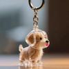 Clear Puppy Hair Memorial Keychain Capsule Pet'S Dog Fur Container Diy Pendant Keychain Decor Pet Lovers Home Display Gifts