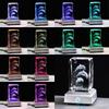 Regalo popular para mujeres, esposas, novias y maridos, perfecto para cumpleaños, aniversarios de boda y más. [Auténtico] K9 Cristal Delfín LED