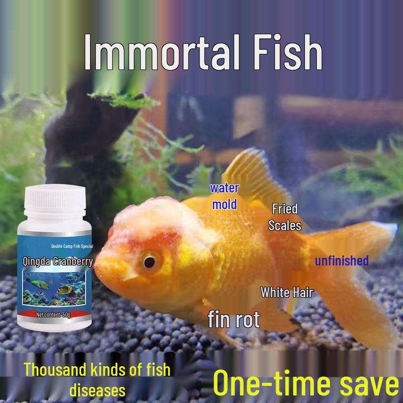 Kanamycin Léčba ryb na hnilobu ploutví, hnilobu těla, bílé skvrny, plíseň, ztrátu šupin, zakalené oko - Dezinfekční a regenerační roztok