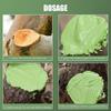 Smear Agent Tree Wound Sealant with Brush Plant Restoring Sealant New Pruning Compound  Tree Care